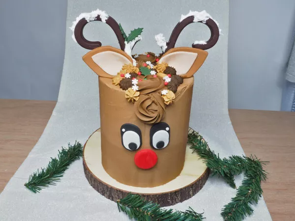 Rudolph the rednosed reindeer cake