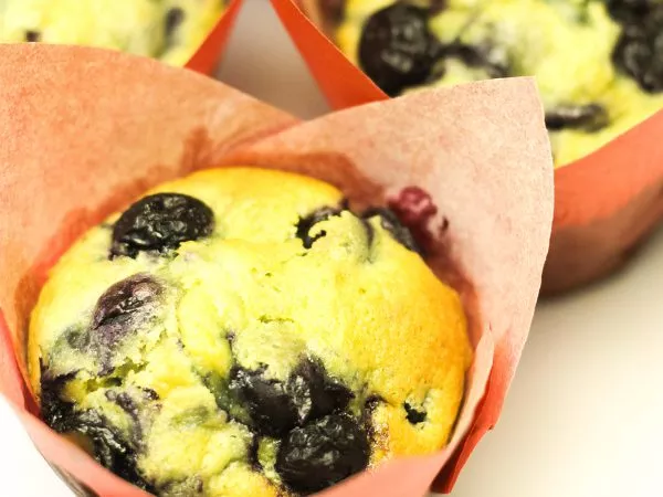 American blueberry muffins