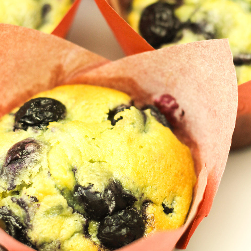 American blueberry muffins