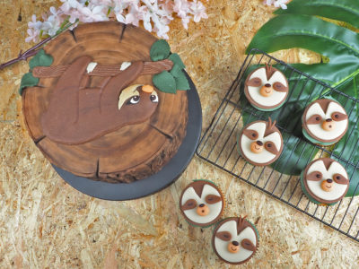 FunCakes Recept Luiaard Taart Website 1