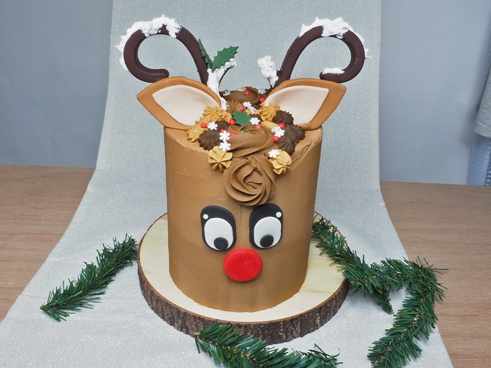 CAKE DECORATING EXTRAVAGANZA: Reindeer Cake - Frog Legs - Sawyer