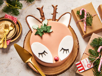 FunCakes Recept Rudolf Taart Website 1