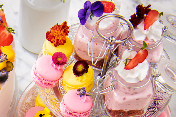 Red Velvet Bavarois Dessert