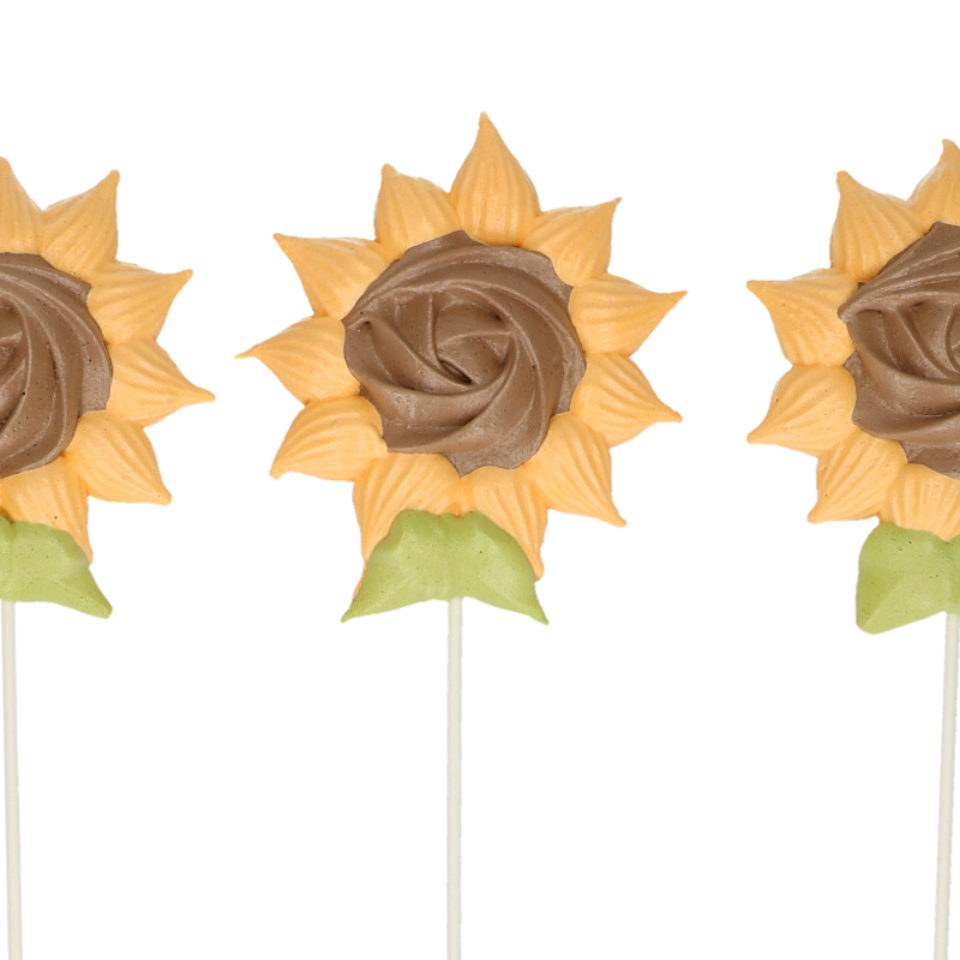 Zonnebloem meringue pops