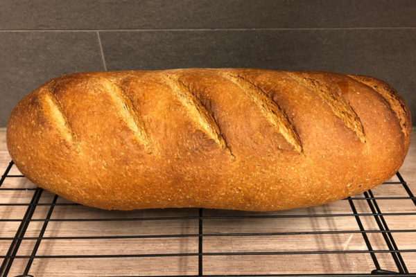 Witbrood