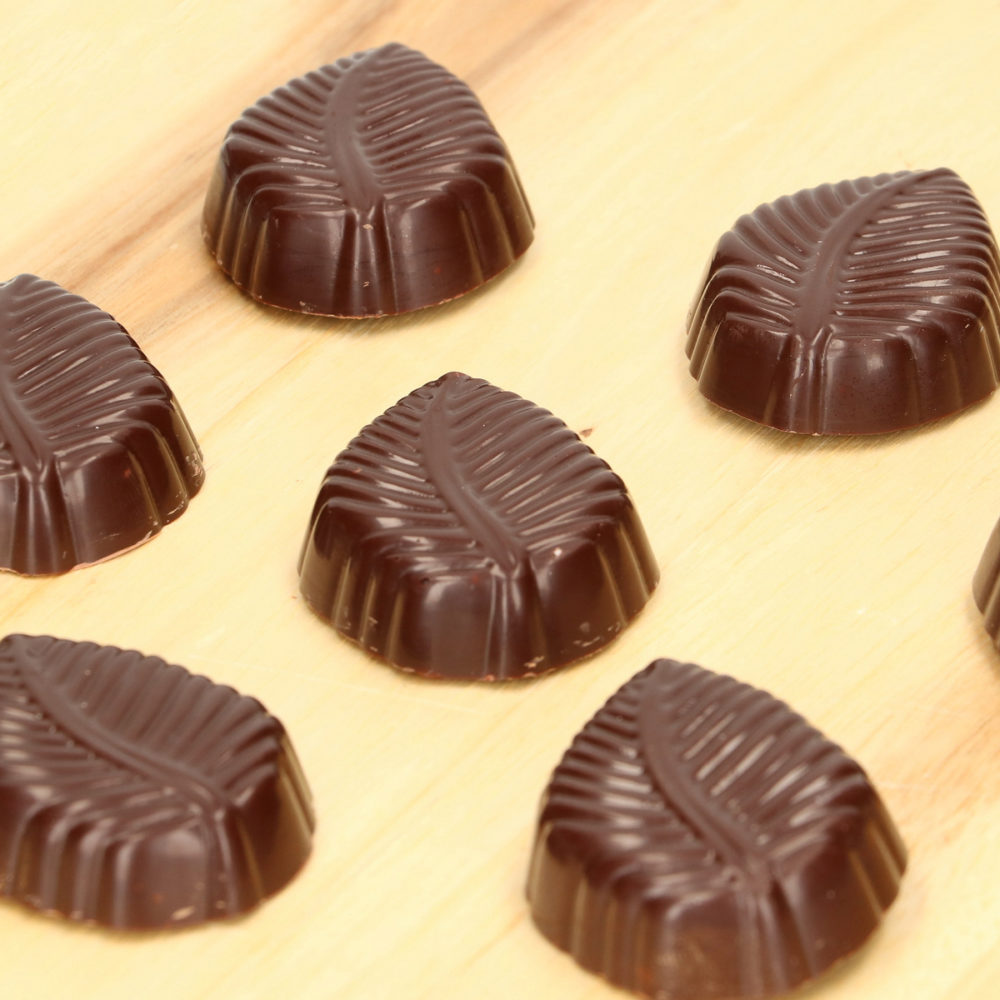 FC5040 FunCakes Chocolate Mould Leaf2