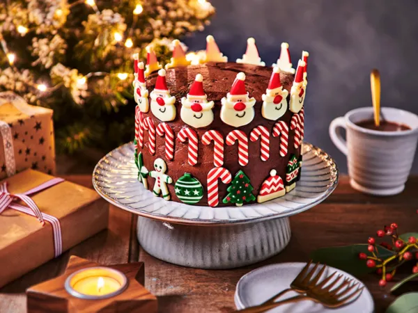 Chocolate Christmas cake