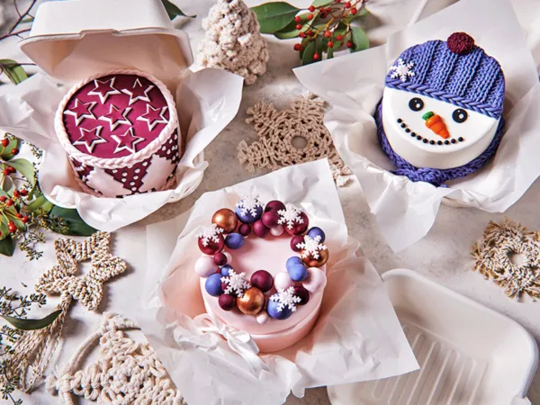 https://funcakes.com/content/uploads/2020/10/Christmas-cakes-600x450.webp