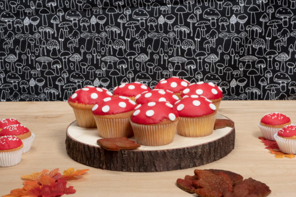 Paddenstoel Cupcakes