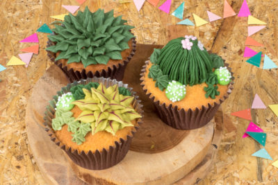 Vetplantje Cupcakes