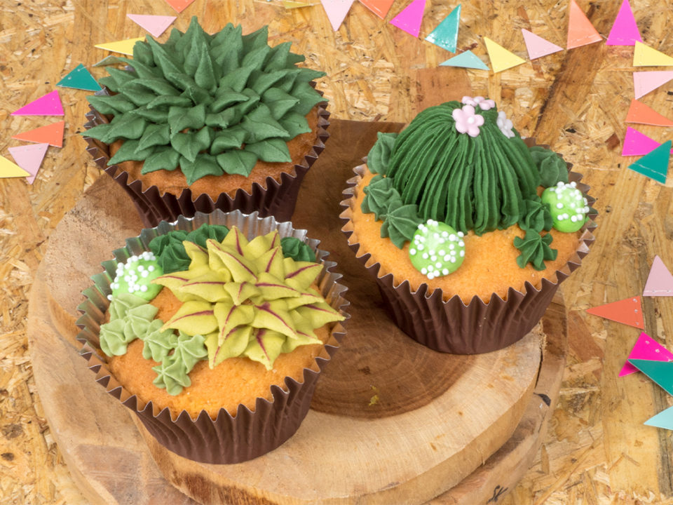 Succulent cupcakes