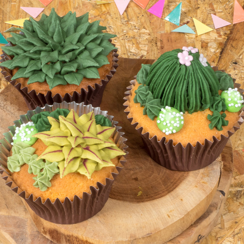 Succulent cupcakes