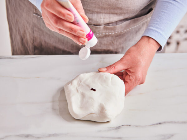 Blog Fondant2