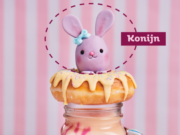 Kawaii Modelling Blog NL9