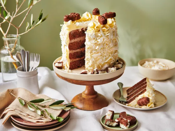 Chocolate Coconut Cake